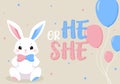 Baby Shower or gender party card. invitation gender party. Cute bunny and balloons